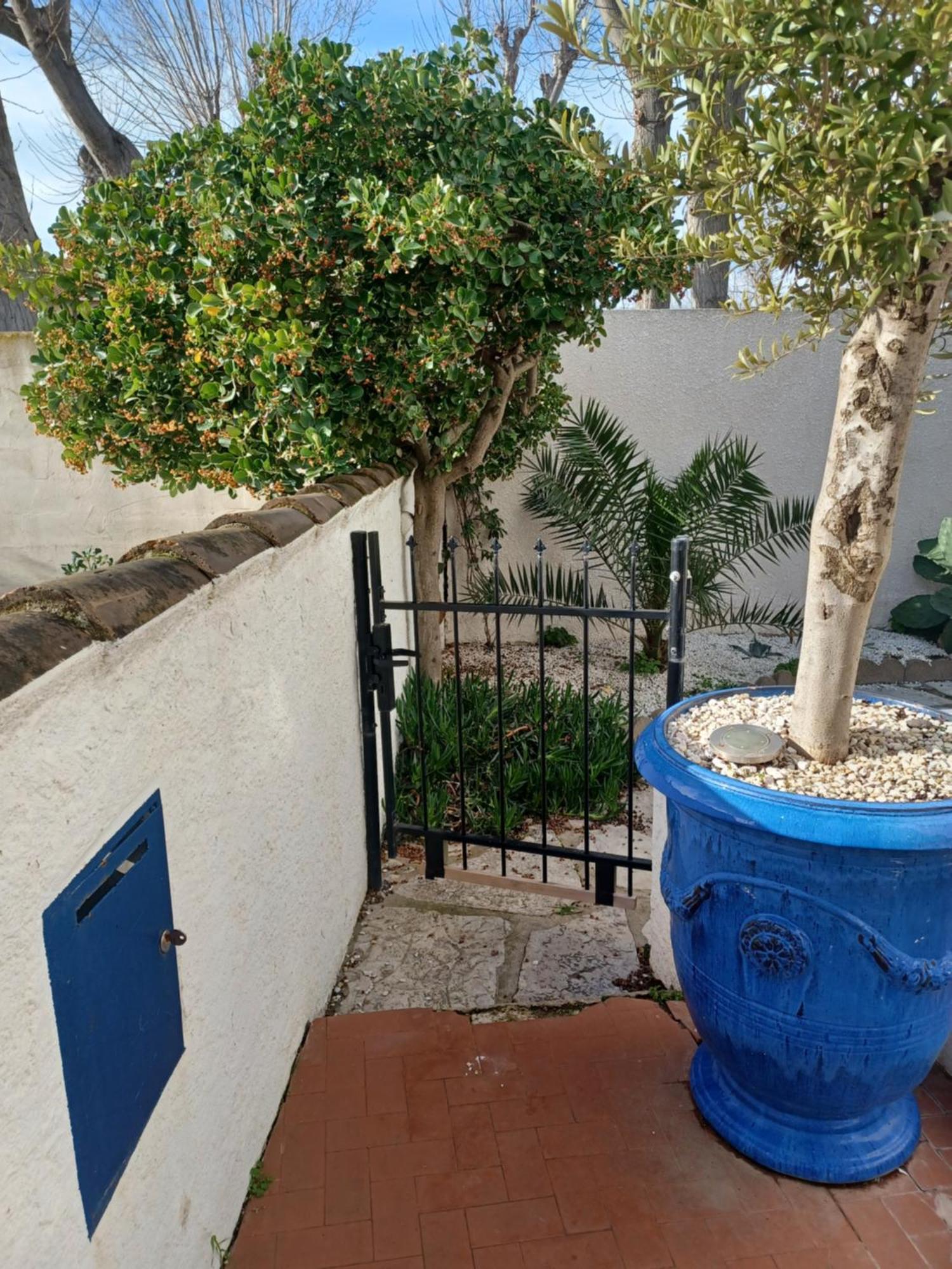 Appartement Avec Jardin Et Spa Valras-Plage Eksteriør bilde